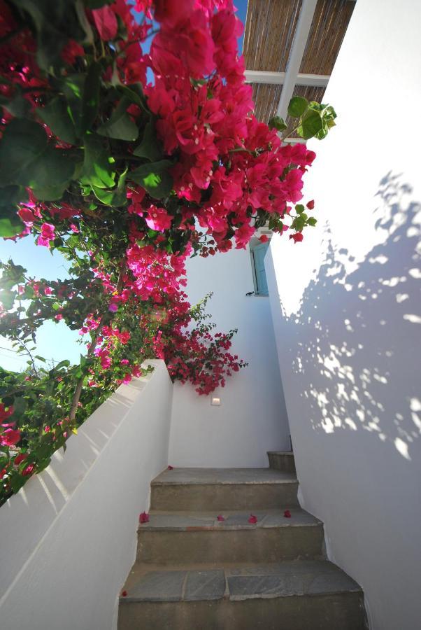 Апартаменты Ark Tinos Агиос-Иоаннис Экстерьер фото