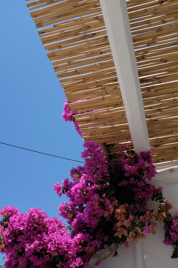 Апартаменты Ark Tinos Агиос-Иоаннис Экстерьер фото